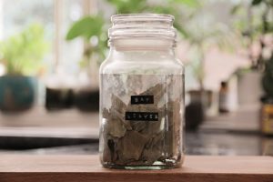 Read more about the article How to Use the Bay Leaf Ritual for Manifestation